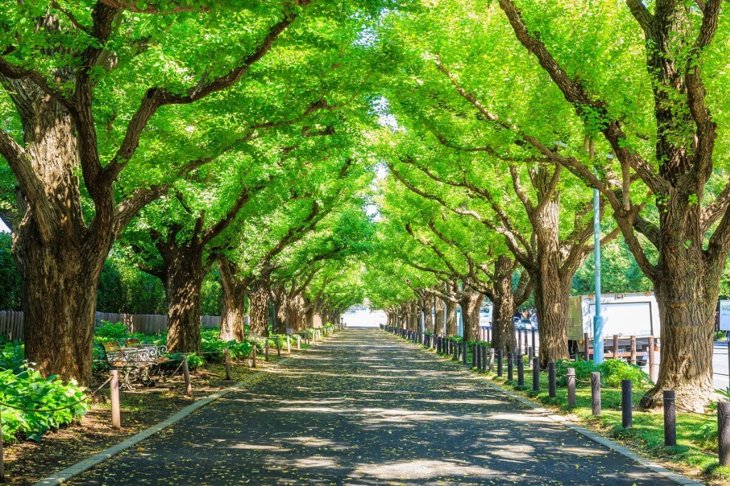 あなたの悩みやご希望に添ったカウンセラーがいます。