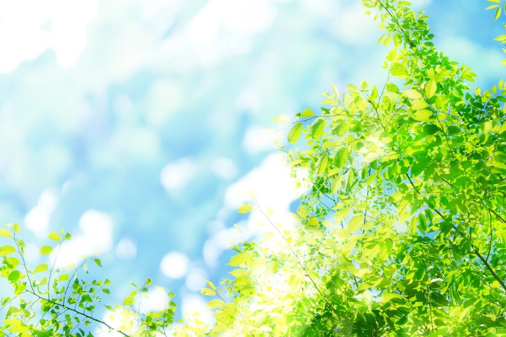 相談者様からのお声